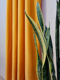 مخمل کالیفرنیا زرد کد yellow